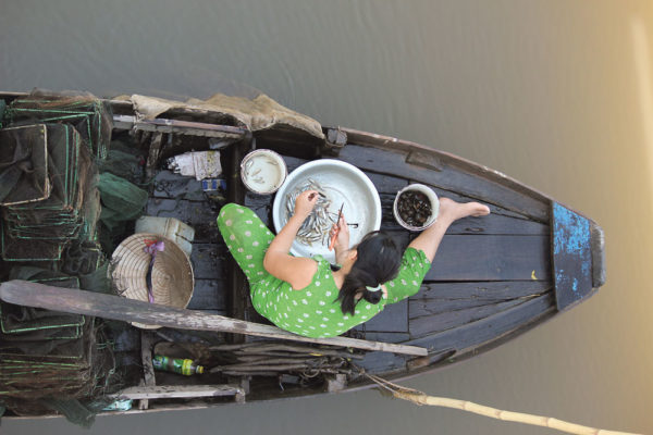 mekong_vinh_long_kalanainen