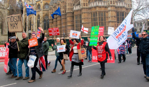 brexit_mielenosoittajat_1_web