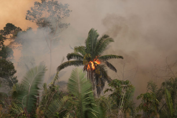 AmazonFires_PortoVelho_RO__24082019_(c)_WWF-Brasil_015