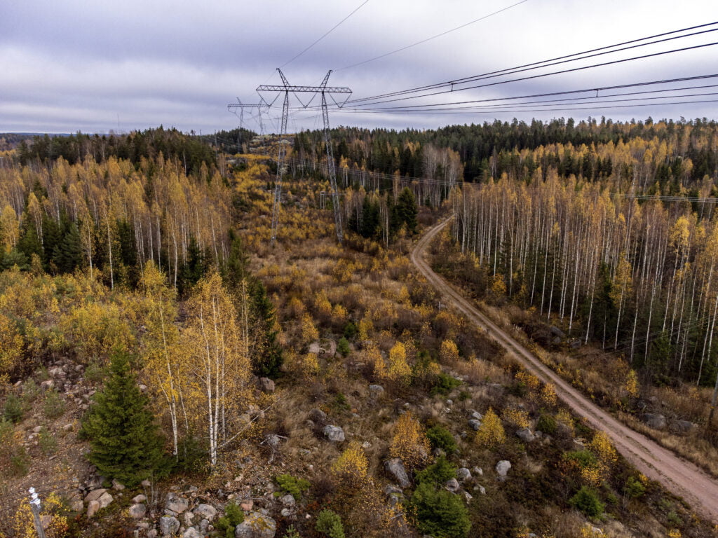 Metsää halkoo sähkölinja, jonka ympäriltä hakattu puustoa.