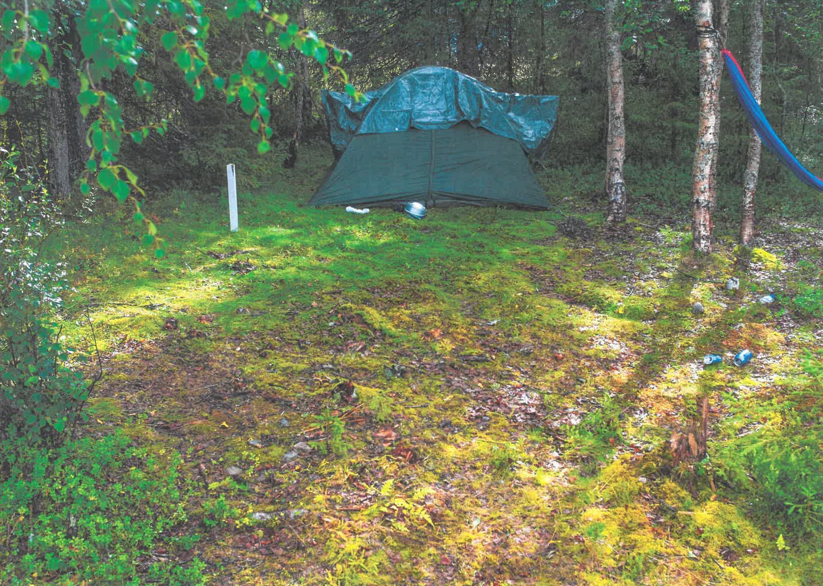 Teltta metsän siimeksessä.