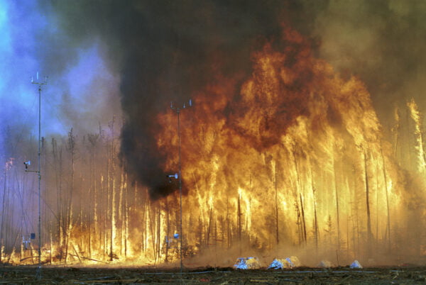 Northwest_Crown_Fire_Experiment