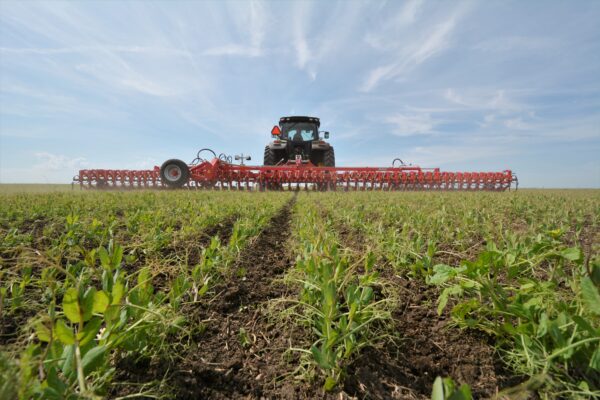 Einböck_Chopstar_3-60_Hackgerät_Row-crop_cultivator_Bineuse_011
