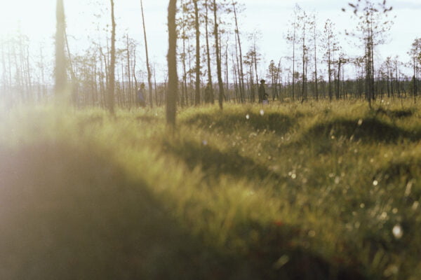 Kaksi marjanpoimijaa kävelee aurinkoisella suolla
